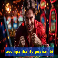 acompanhante guanambi